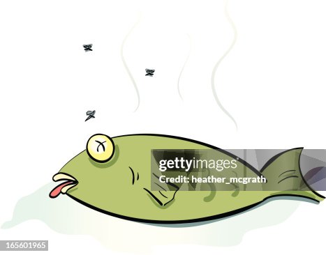Dead Fish Dead Fish
