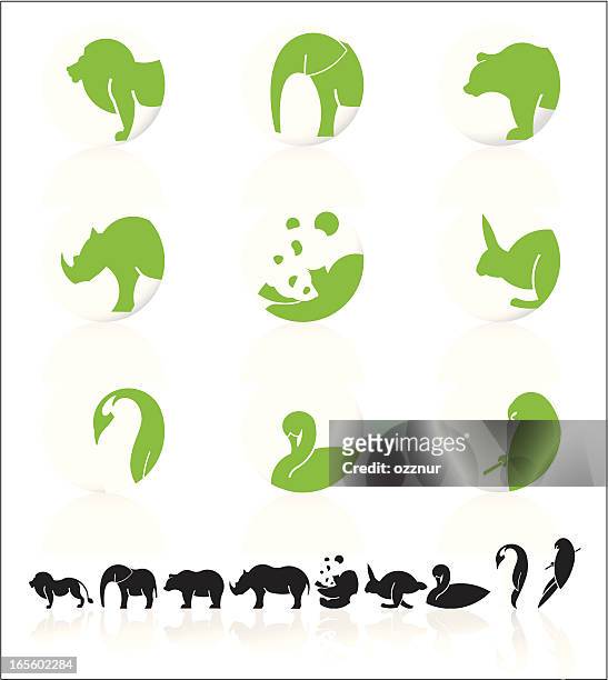 tier icon-set - panda animal stock-grafiken, -clipart, -cartoons und -symbole