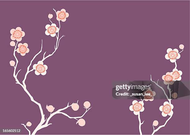 illustrazioni stock, clip art, cartoni animati e icone di tendenza di viola fiori di ciliegio - fiore di pesco