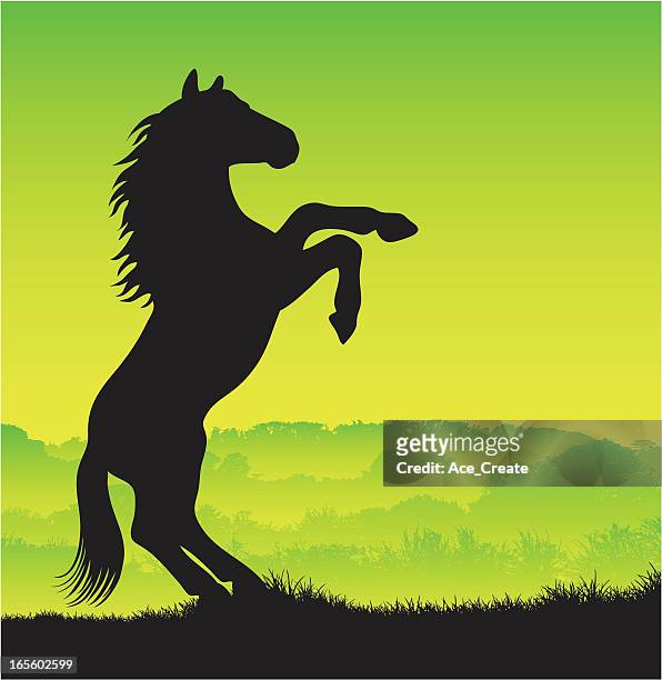 bildbanksillustrationer, clip art samt tecknat material och ikoner med horse silhouette rearing up - mustang wild horse