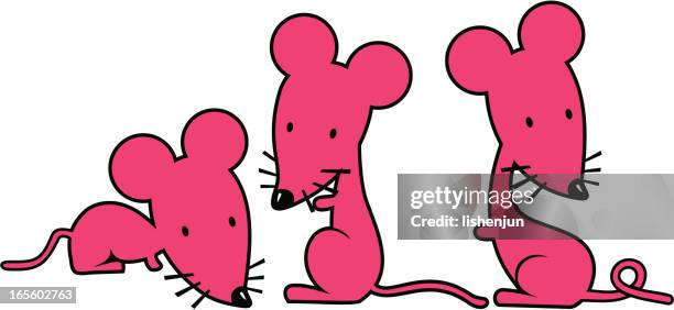 Animal Mouse Using Computer Cartoon Computer Mouse Cartoon Photos and Premium High Res Pictures - Getty Images