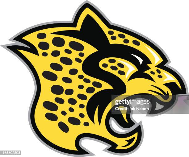 cheetah head - puma stock illustrations