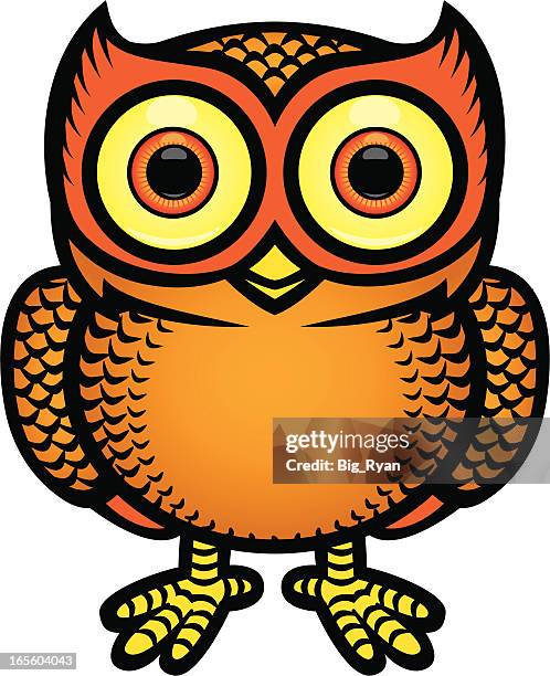 owl - barn owl stock illustrations