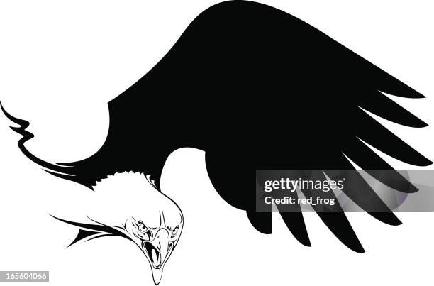 eagle wing - bald eagle flying stock illustrations