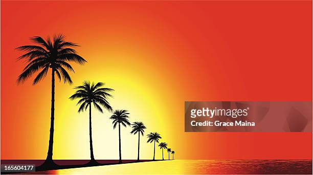 illustrazioni stock, clip art, cartoni animati e icone di tendenza di spiaggia al tramonto-vettoriale - cocos plant