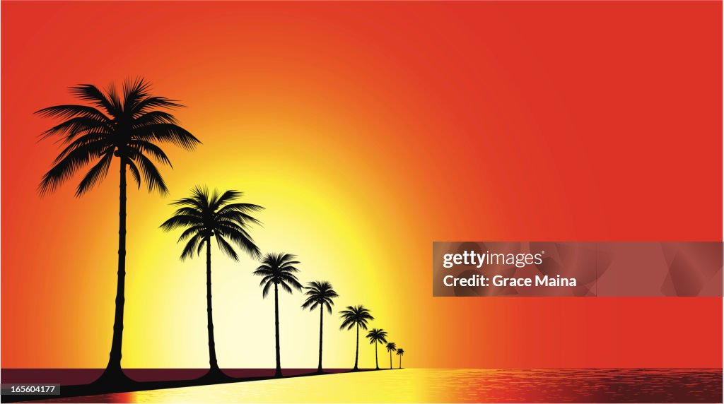 Beach sunset - VECTOR
