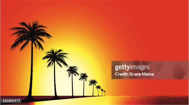 beach sunset - vector - waters edge stock illustrations