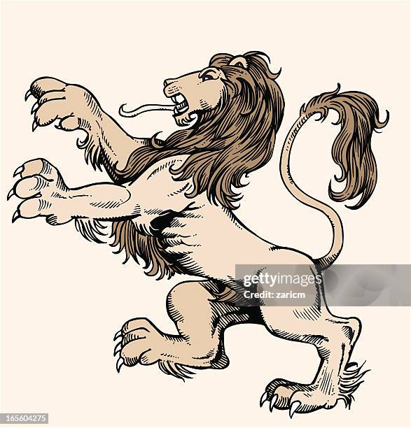ilustraciones, imágenes clip art, dibujos animados e iconos de stock de león - lion tattoo