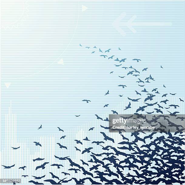 the birds - flock of birds stock illustrations