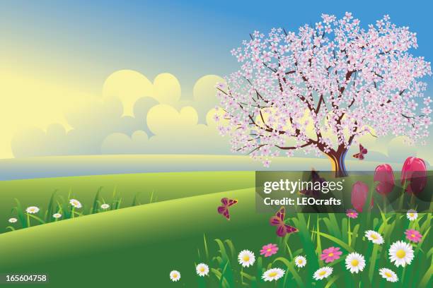 beautiful spring morning - spring landscape stock illustrations