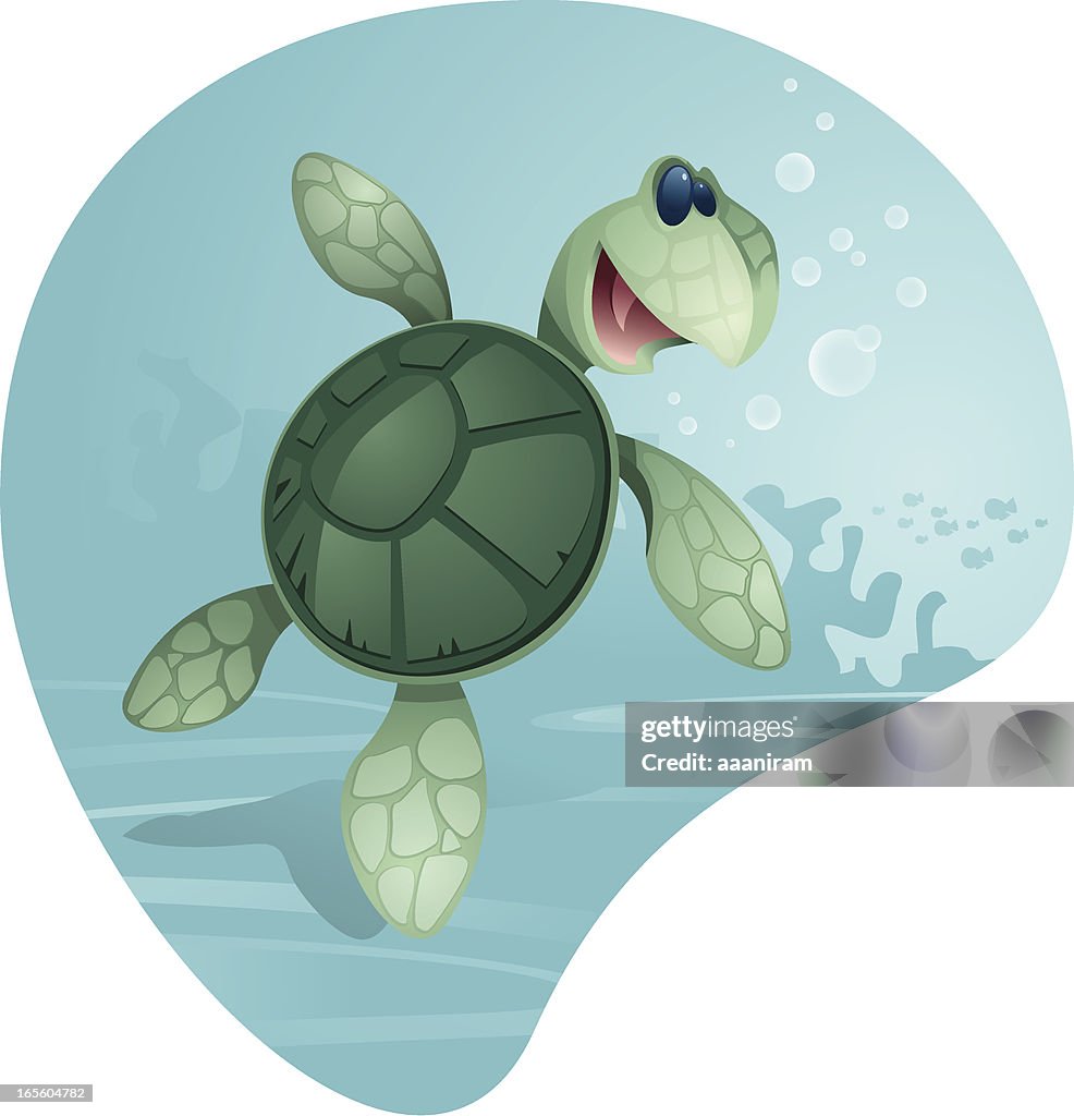 Cute Sea Turtle