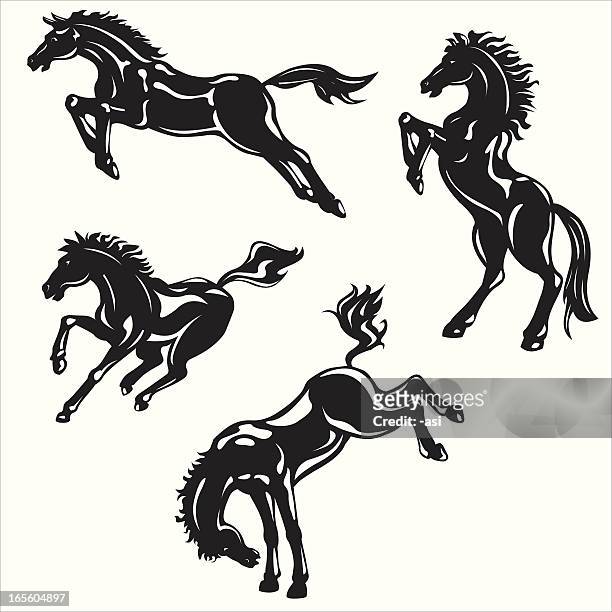 ilustrações, clipart, desenhos animados e ícones de cavalos selvagens silhueta - mustang wild horse