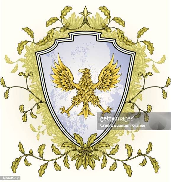 eagle shield - golden eagle stock illustrations