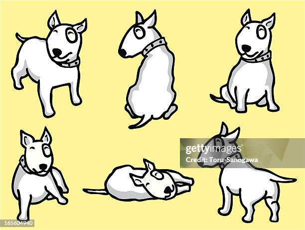 bull trout - bullterrier stock-grafiken, -clipart, -cartoons und -symbole