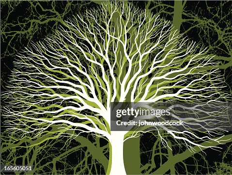 White tree White tree