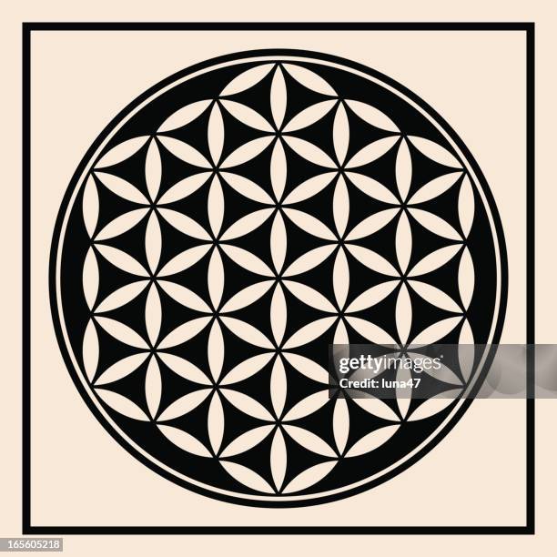 ilustraciones, imágenes clip art, dibujos animados e iconos de stock de símbolo de la flor de la vida - geometría sagrada