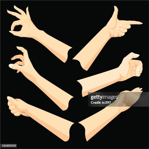 hand gestures - language interpreter stock illustrations