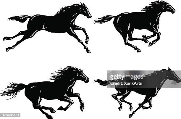 ilustraciones, imágenes clip art, dibujos animados e iconos de stock de siluetas de caballos corriendo - horses running