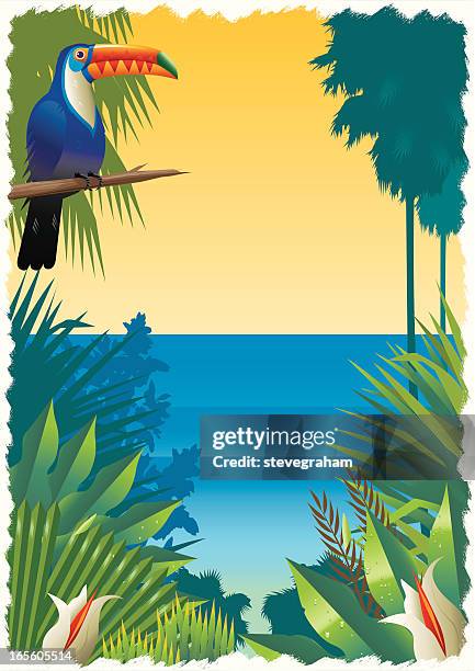 tropical beach scene with toucan - mexico sunset stock illustrations