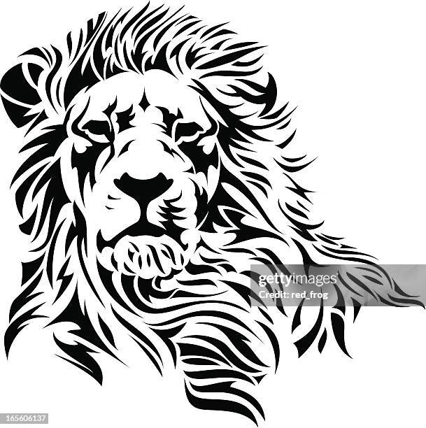 lion head - löwe stock-grafiken, -clipart, -cartoons und -symbole