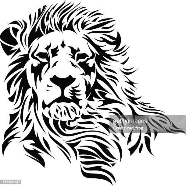 lion head - animal head stock illustrations