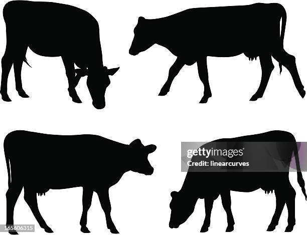 illustrations, cliparts, dessins animés et icônes de silhouettes de vache - cows grazing