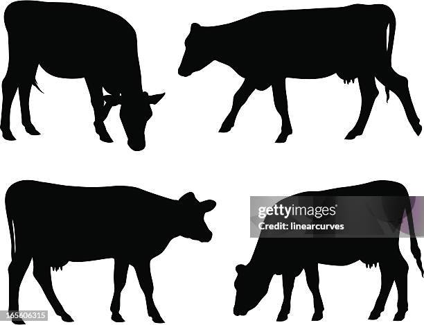 stockillustraties, clipart, cartoons en iconen met cow silhouettes - cows grazing