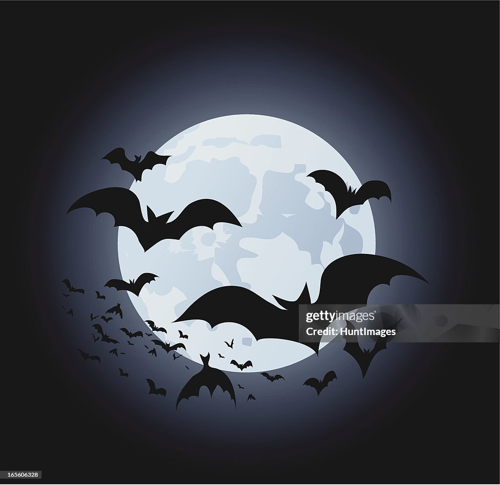 Bats and Moon vector illustration