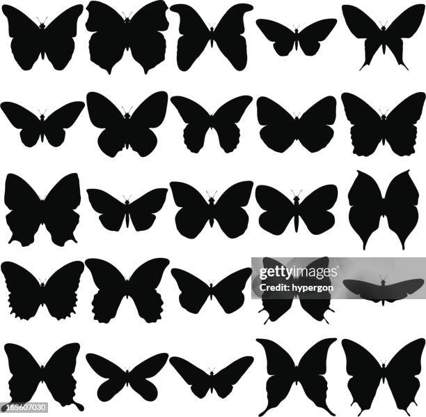 illustrations, cliparts, dessins animés et icônes de collection de silhouette de papillon - papillon