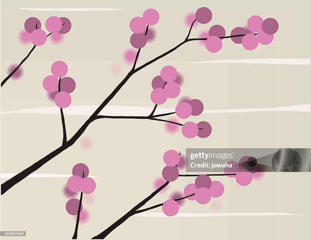 Abstract Cherry Blossoms