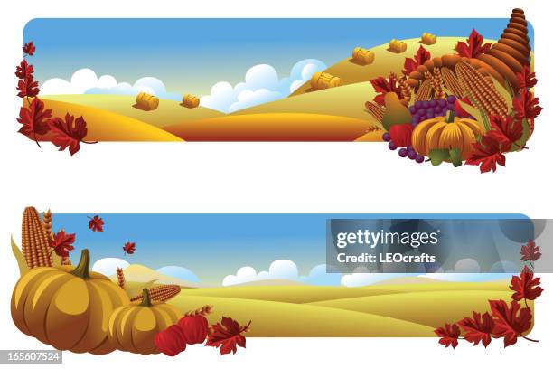 illustrazioni stock, clip art, cartoni animati e icone di tendenza di bellissimo autunno sfondo/banner - zucca