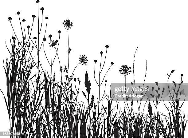 summer meadow 1 - prairie silhouette stock illustrations