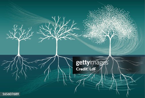 Growing Tree High-Res Vector Graphic - Getty Images