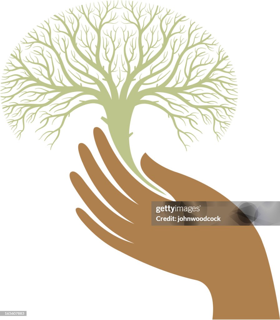 Tree Hand Reference Hand And Tree High-Res Vector Graphic - Getty Images