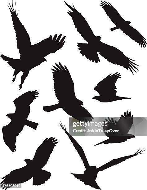 631点の羽ばたくイラスト素材 Getty Images 631点の羽ばたくイラスト素材 Getty Images