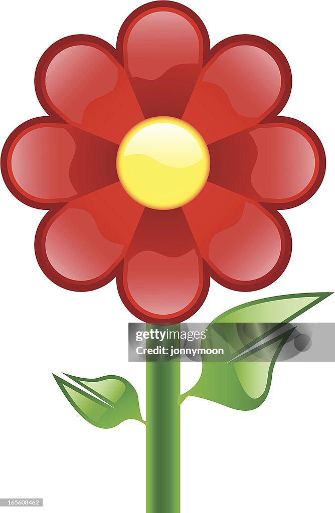 Single Red Flower