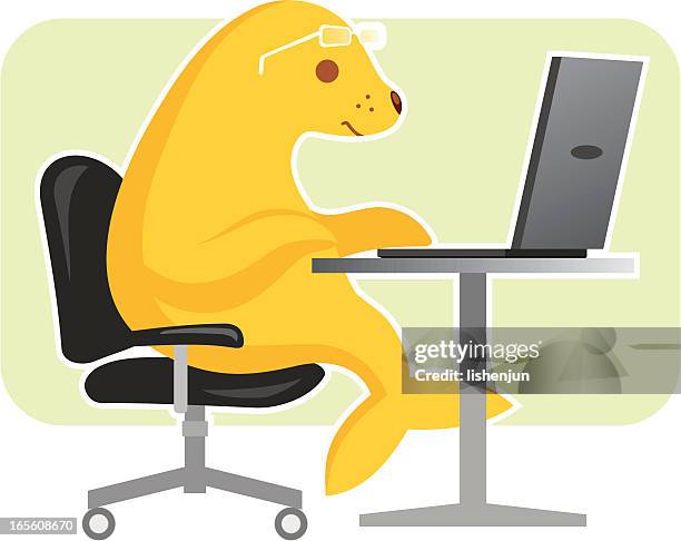 seal - sea lion stock illustrations