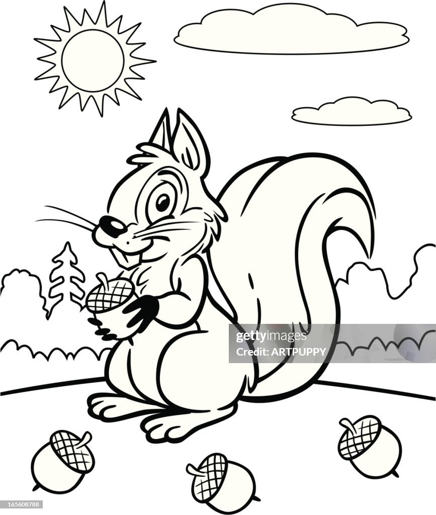 Coloring Book of Squirrel
