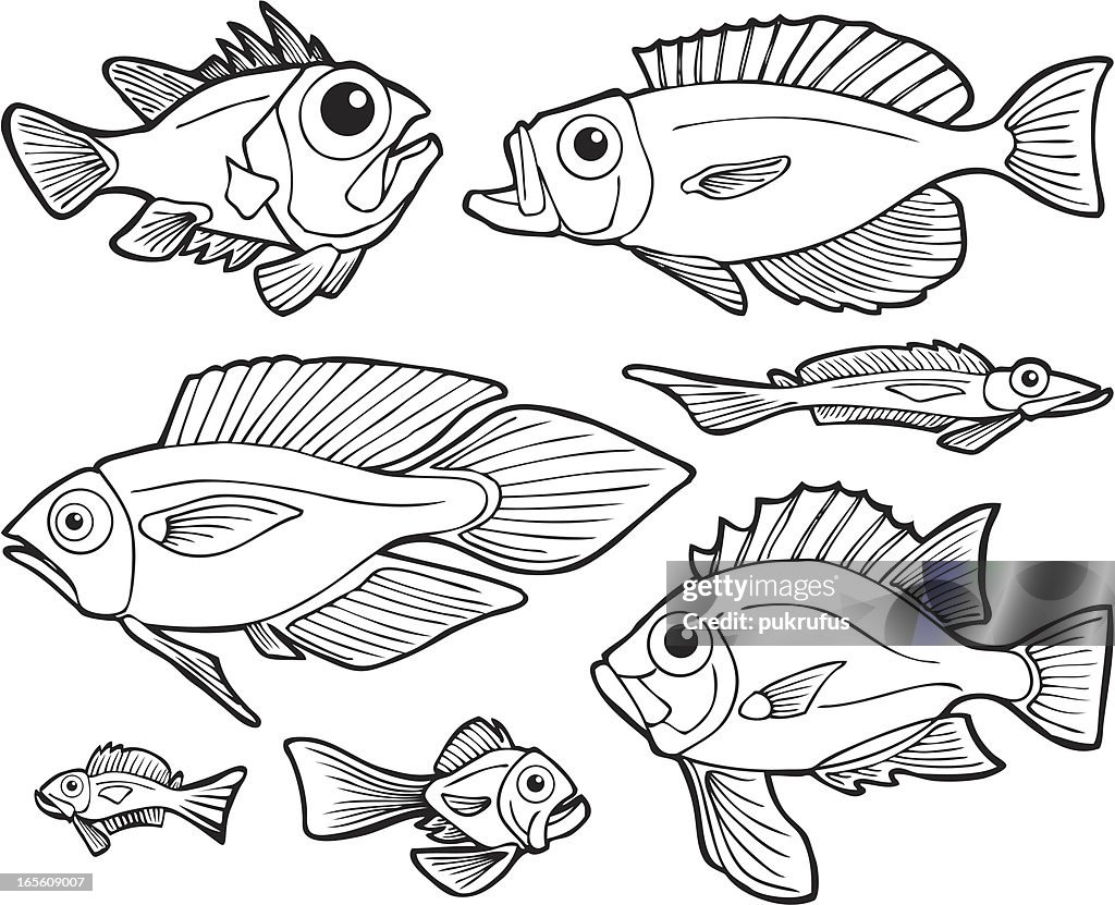 Abstract Line Work Fish Fish Line Art High-Res Vector Graphic - Getty Images