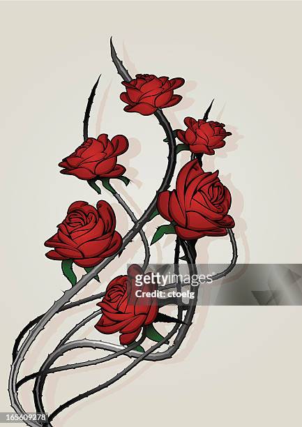 ilustraciones, imágenes clip art, dibujos animados e iconos de stock de rosas. - tendril