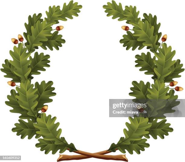 wreath oak - olympic mountains washington state stock illustrations
