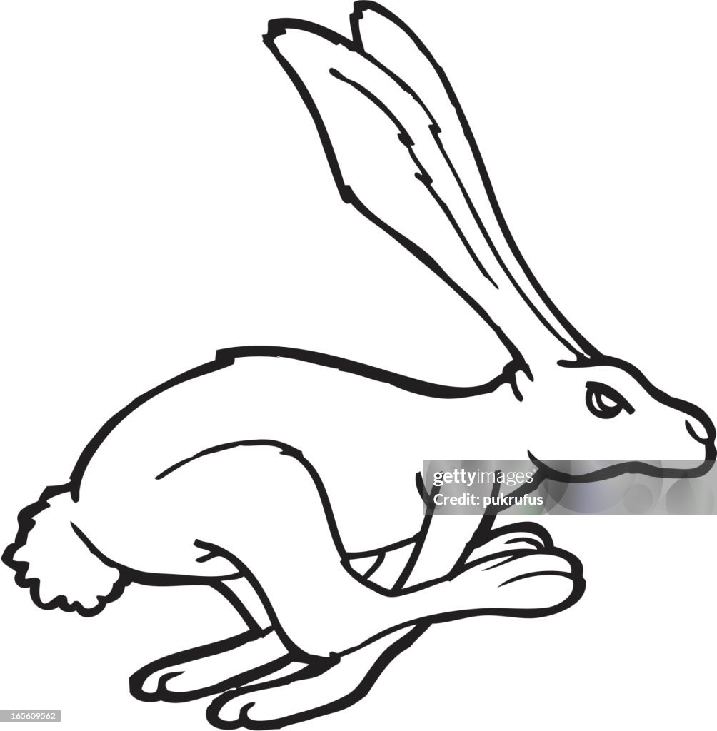 Bunny Run Line Art