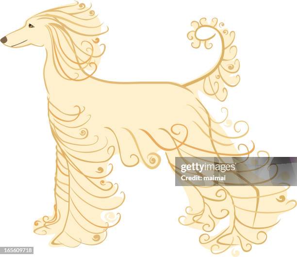 stockillustraties, clipart, cartoons en iconen met blonde afghan hound doodle - afghaanse windhond