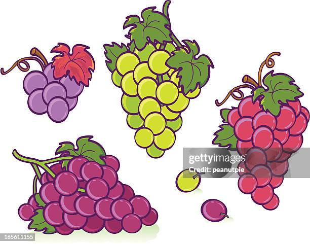 grapes - grape leaf stock illustrations