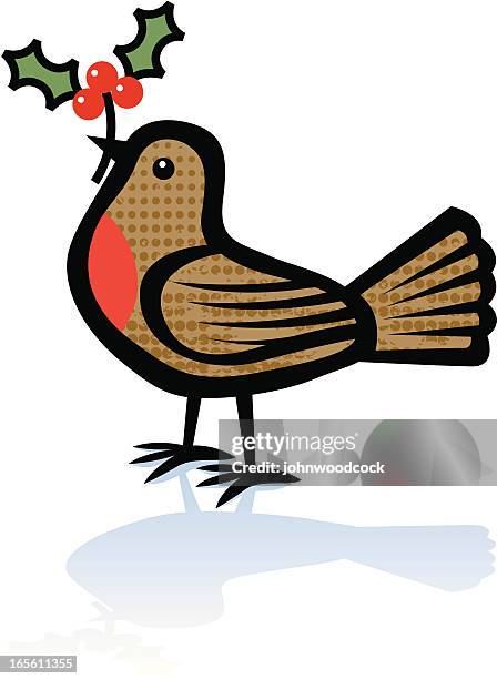 robin - robin stock illustrations