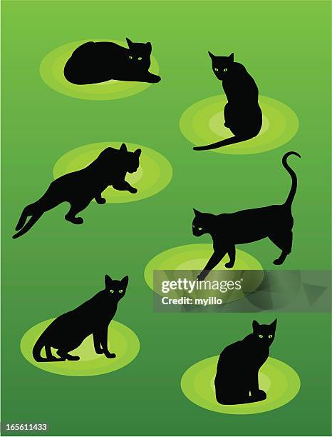 black cat - cat circle stock illustrations