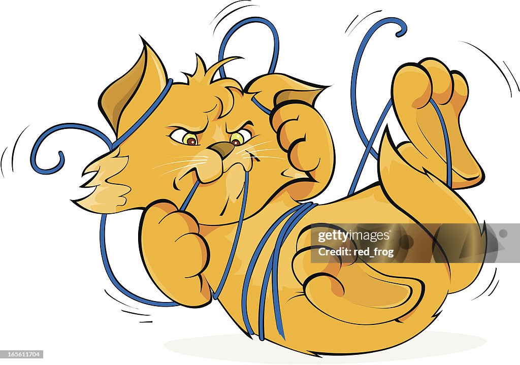 Naughty Cat High-Res Vector Graphic - Getty Images