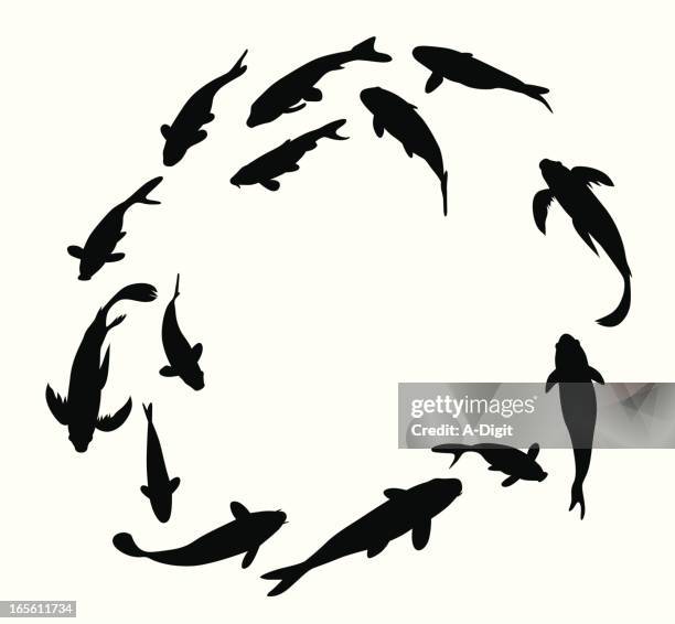 koifishcircle, symbol der stärke - schatten im mittelpunkt stock-grafiken, -clipart, -cartoons und -symbole