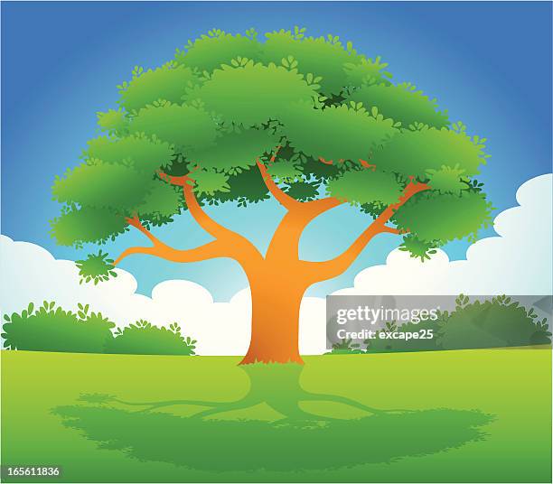 tree under sun - polish mountains spring stock illustrations