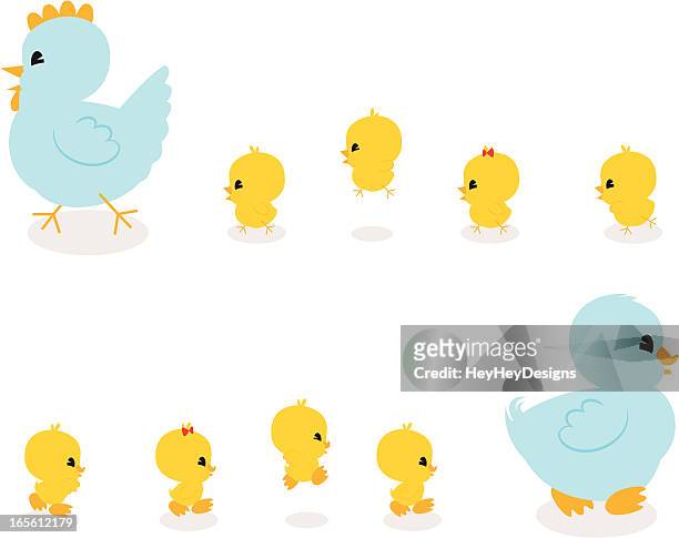 chickies and duckies! - hey baby stock illustrations